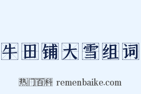 牛田铺大雪组词是什么意思的图片